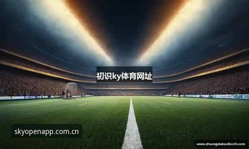 揭秘云开体育平台登录入口评测：新手必读的五大关键点，你不可不知的实用指南